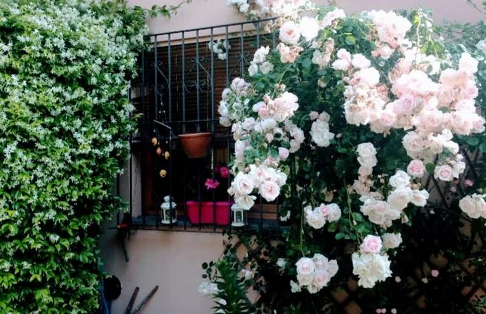 Casa con 2 Camere da Letto — Appartamento La terrazza di Dora