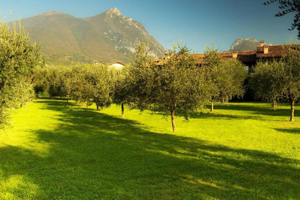 Casa Gardenia — foto 5