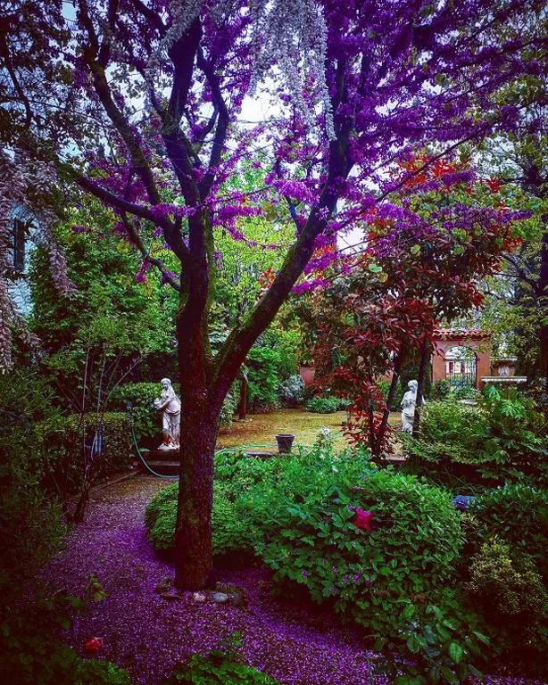 Cascina CORTEPRIMAVERA, B&B del Baliot — foto 8