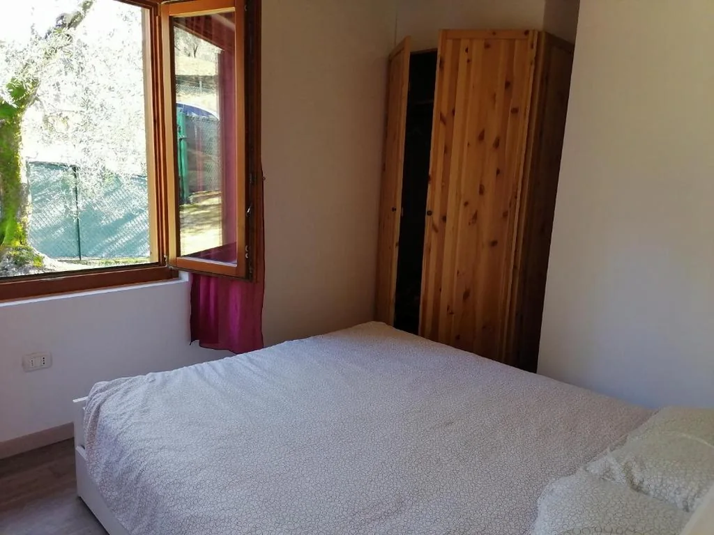 Casetta delle olive — foto 6