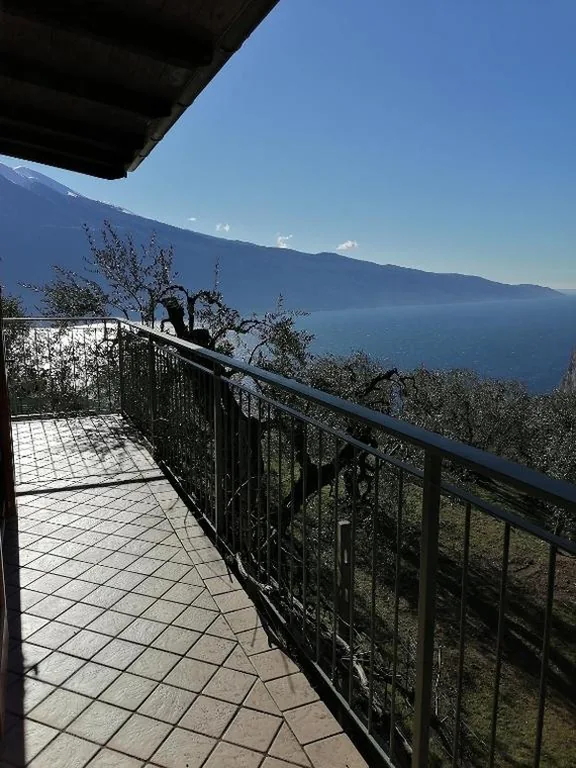 Casetta delle olive — foto 8