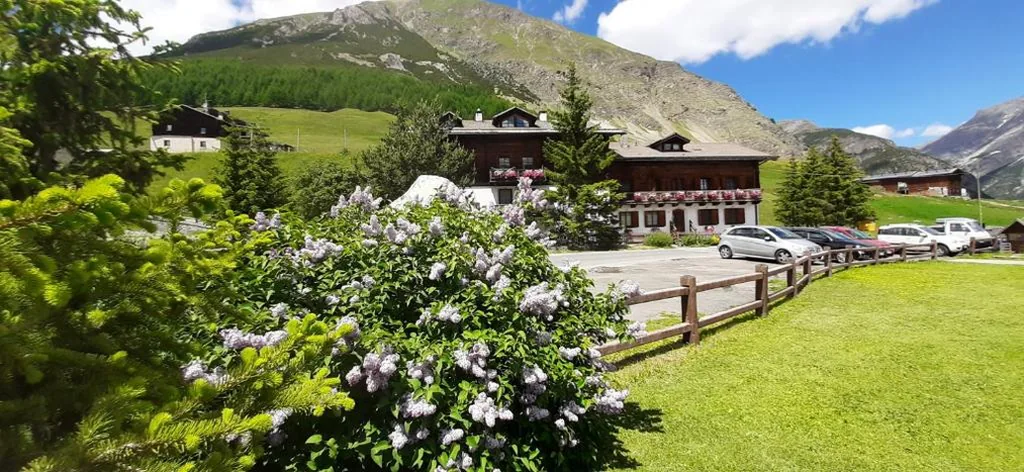 Chalet Del Sole per gruppi — foto 3
