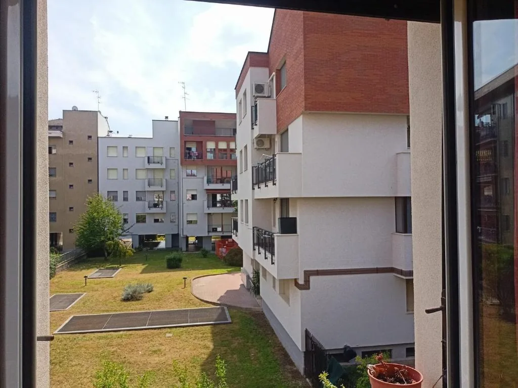 gattopastro — foto 5