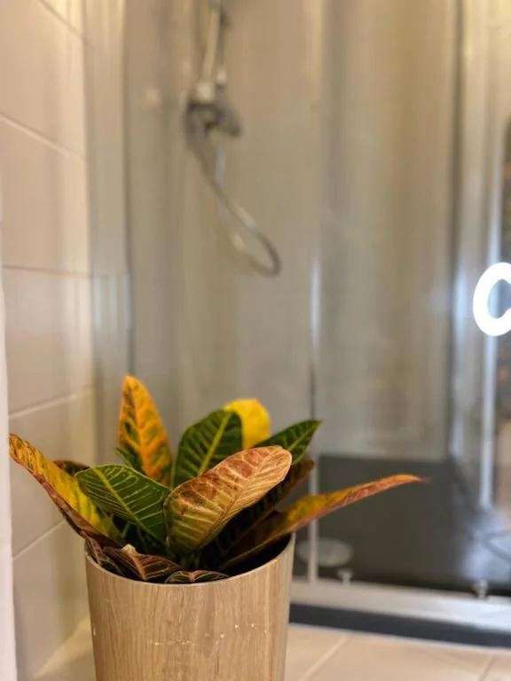 Guest House Mameli44 — foto 3