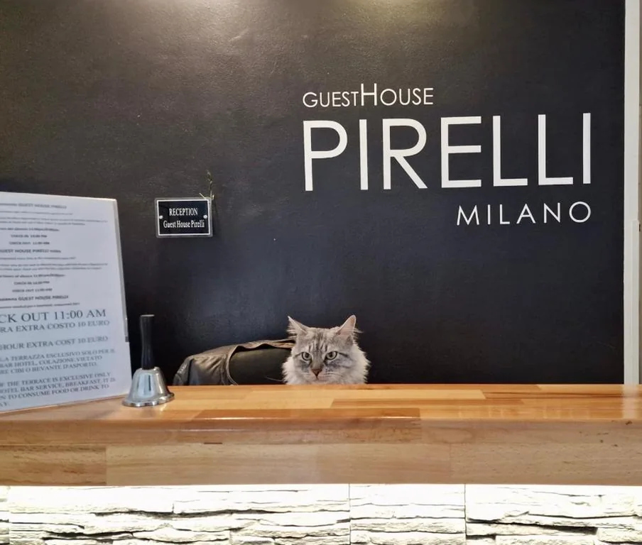 Guest House Pirelli Milano — foto 6