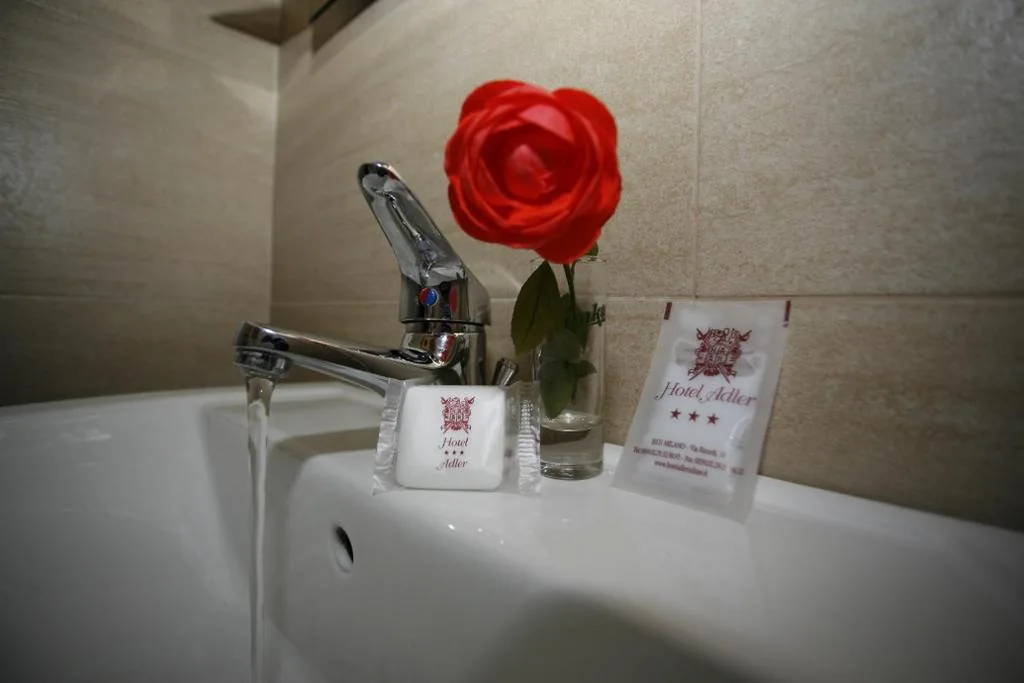 Hotel Adler — foto 3