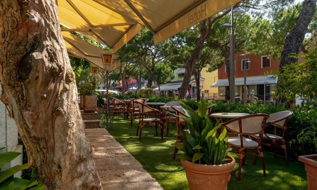 Hotel Benaco — foto 8