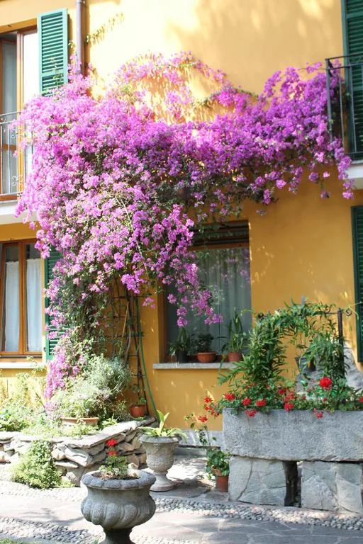 Hotel Centrale Bellagio — foto 4