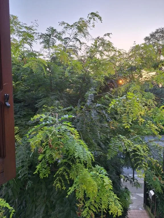 Hotel Livio — foto 8