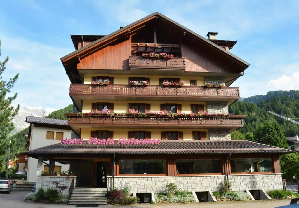 Hotel Pineta — foto 6