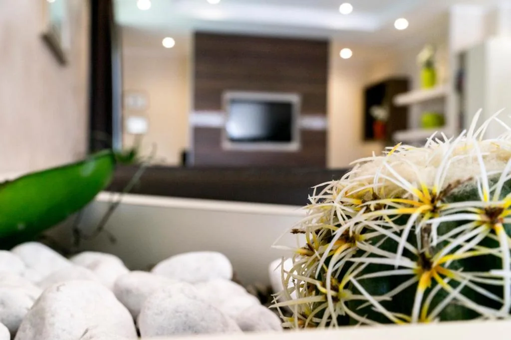 Hotel Sorriso — foto 6