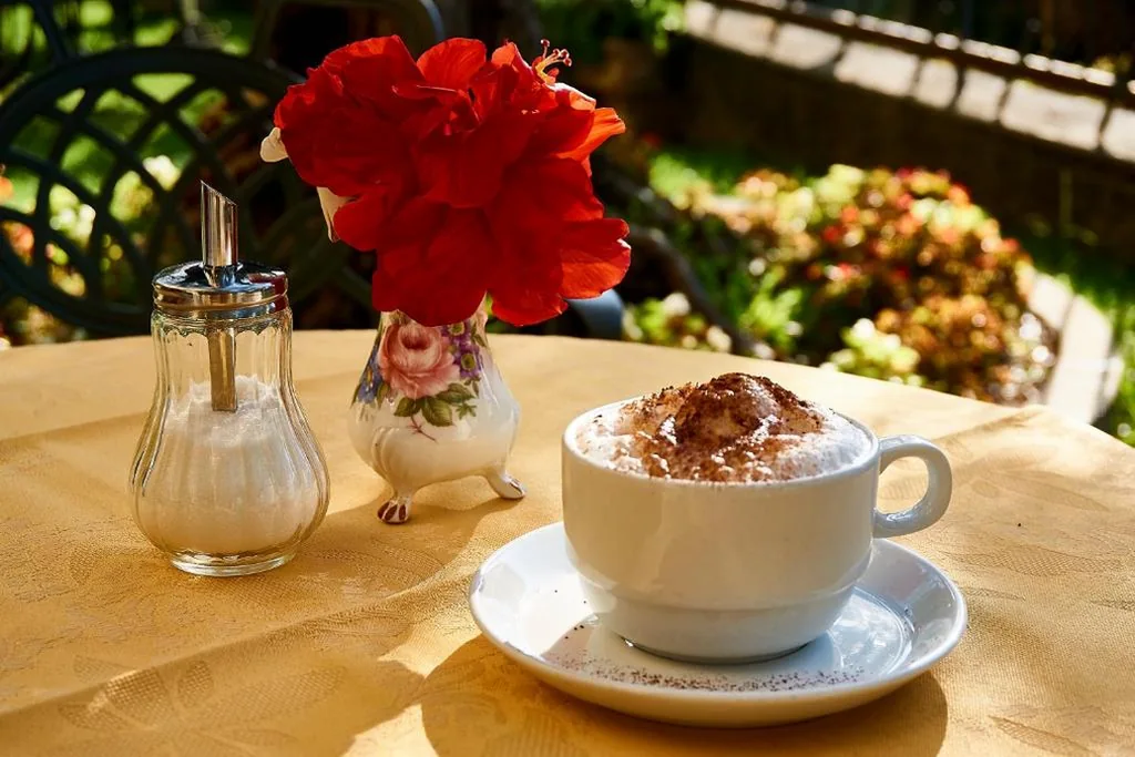 Hotel Tiziana Garnì — foto 7