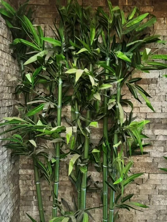 Hotel Valganna — foto 5