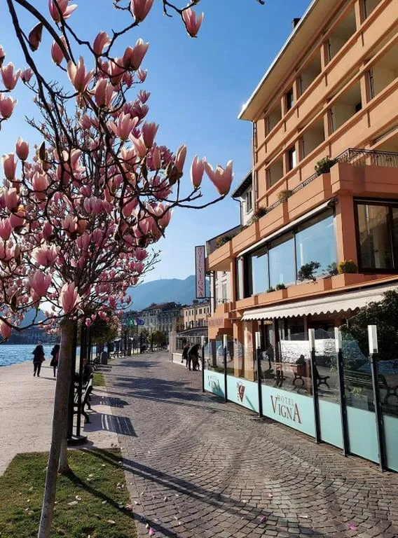 Hotel Vigna — foto 3
