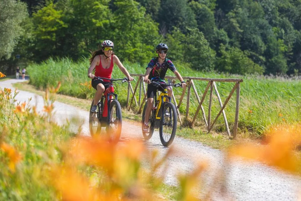 I LAGHEE casette BREVA e TIVANO Lakeside Garden Bike&Boat&Scooter Lake Como — foto 5