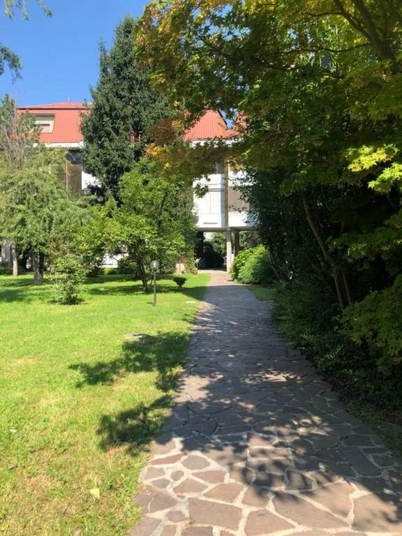 Il Contrabbasso — foto 8
