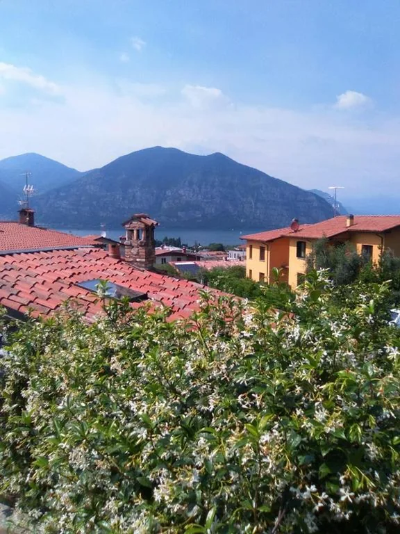 Il Gelsomino — foto 5