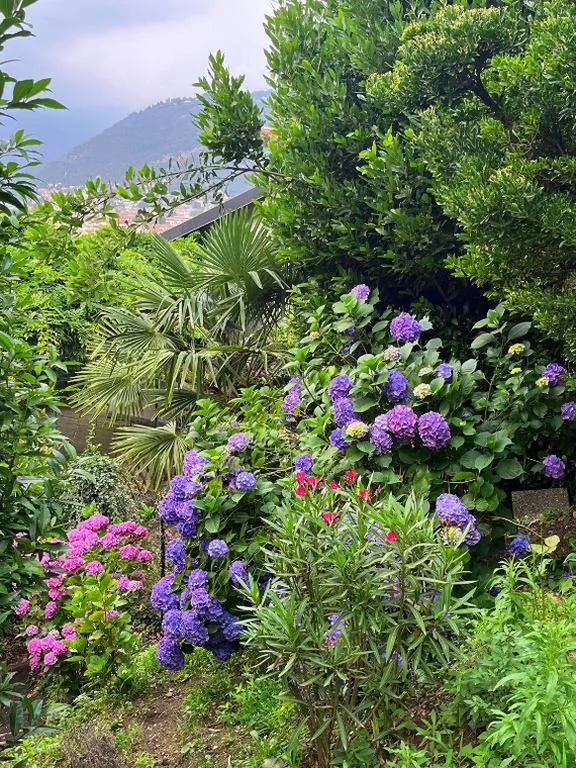 Il Sogno — foto 6