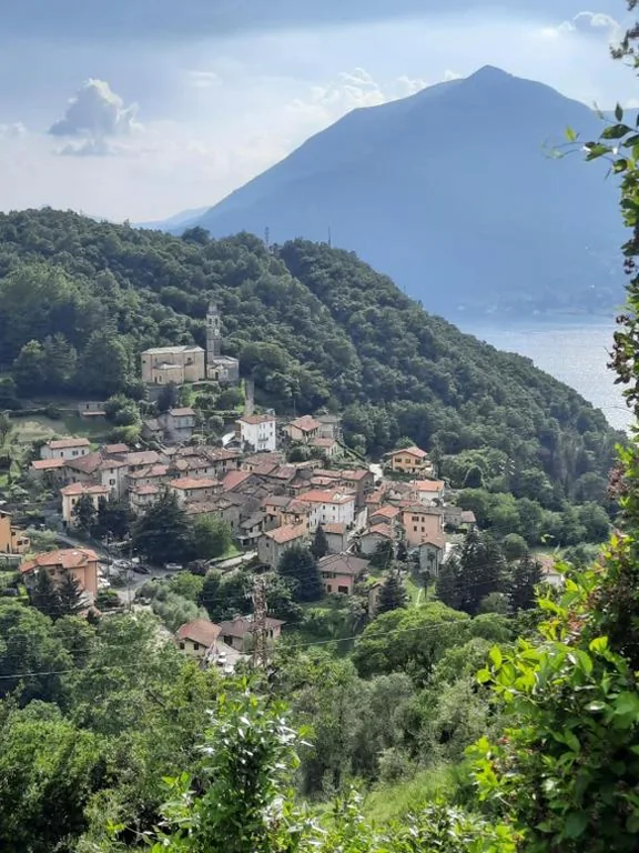 Il Vecchio Torchio — foto 6