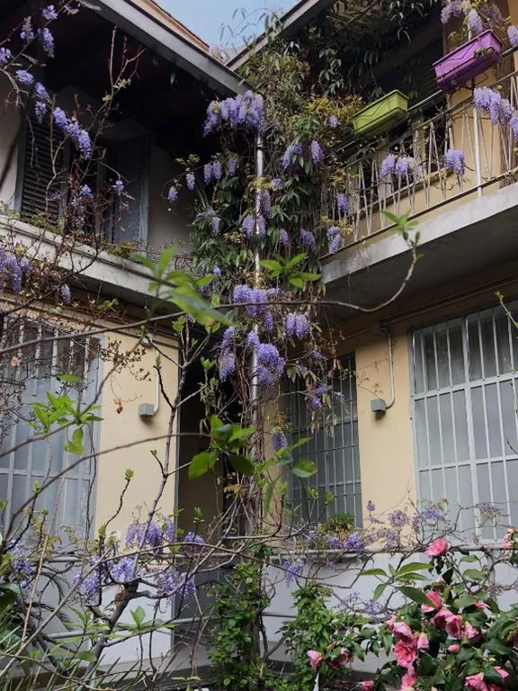 Isola Libera — foto 6