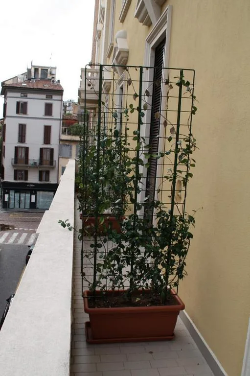 LE COLONNE MILANO — foto 6