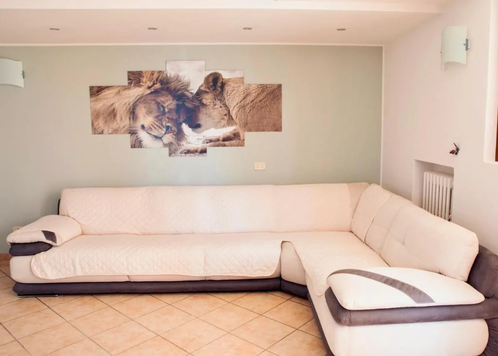 Milele B&B — foto 8
