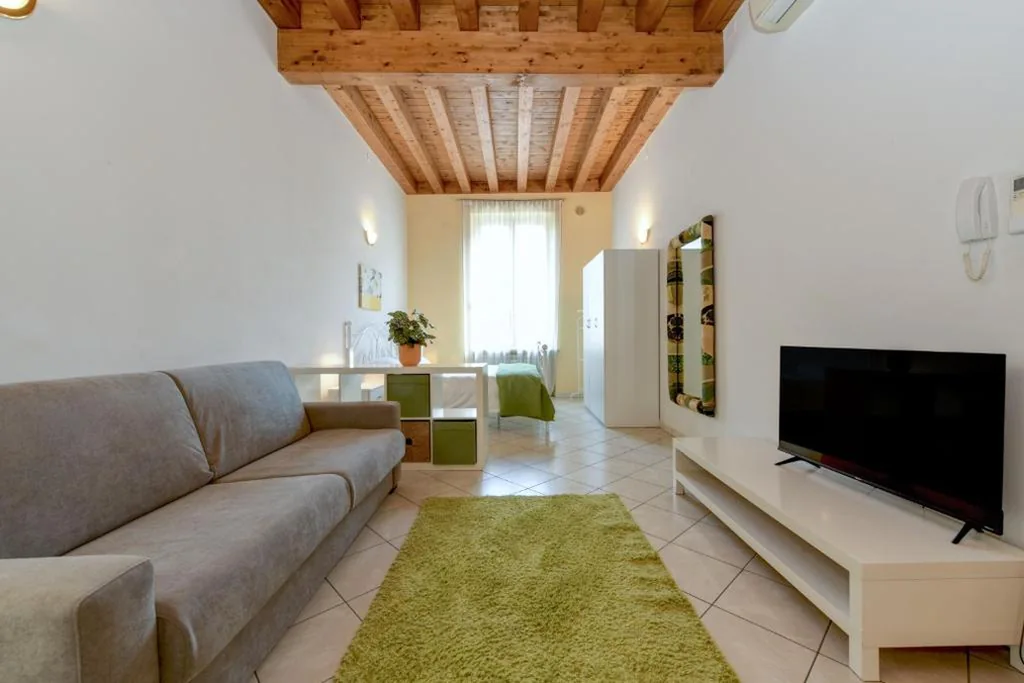 Monolocale King con Divano-Letto — Flowers Apartments