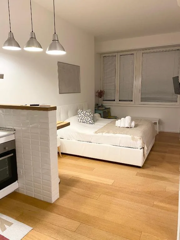Repubblica One Room Apartment — foto 4