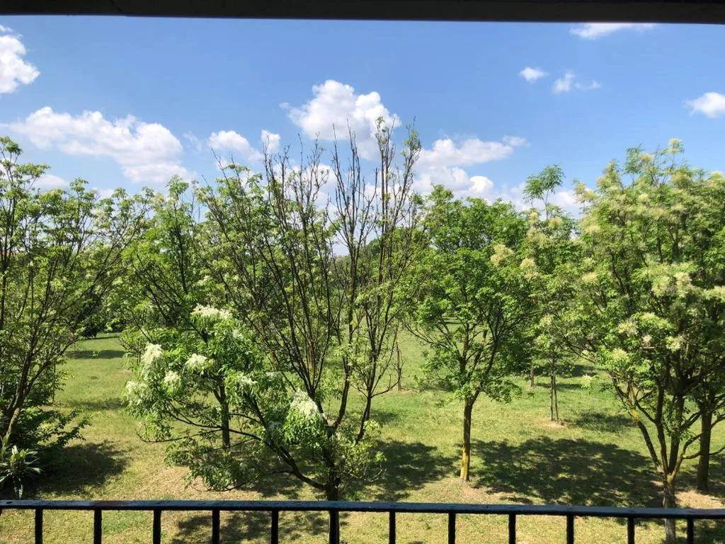 suite with terrace and loft with garden in Milan naviglio pavese — foto 8