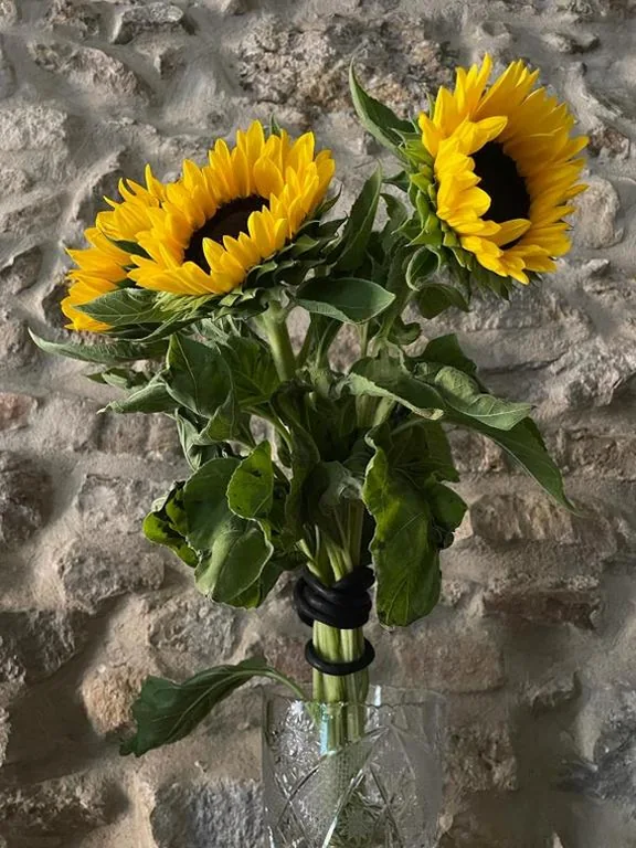 Torre dell’Angelo B&B — foto 4