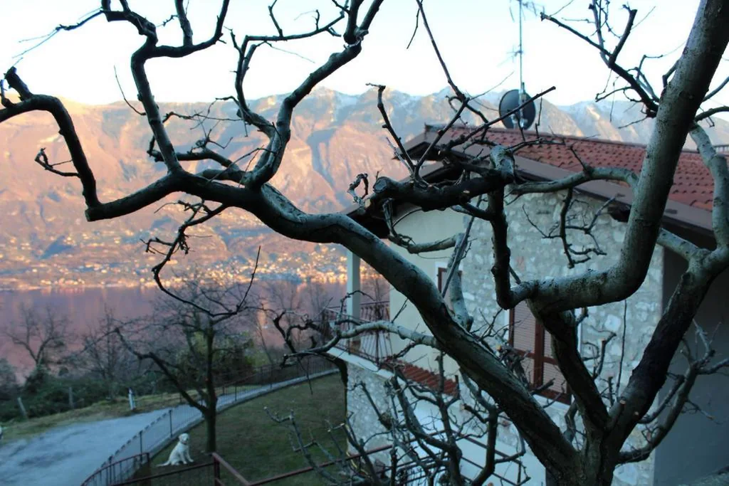 Villa Panoramica — foto 8
