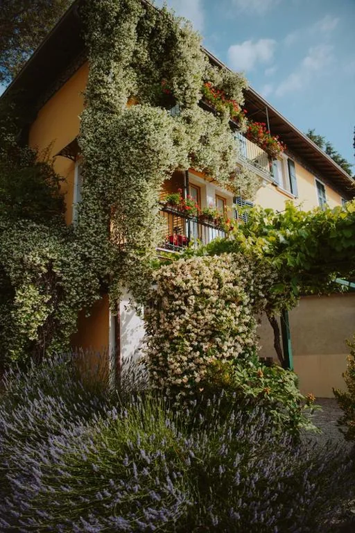 Villa Schindler — foto 8