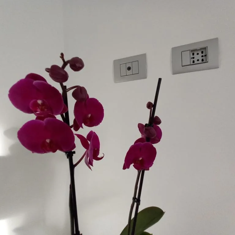 Villino Liber — foto 3