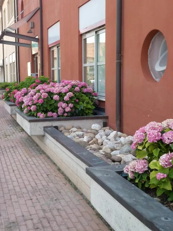 Vista Hotel & Residence — foto 6