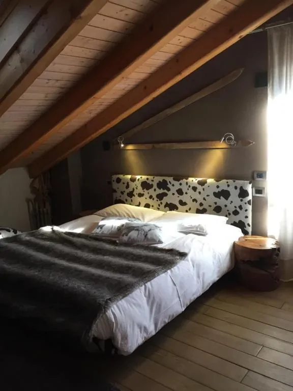 LTHorses & Dreams — foto 7