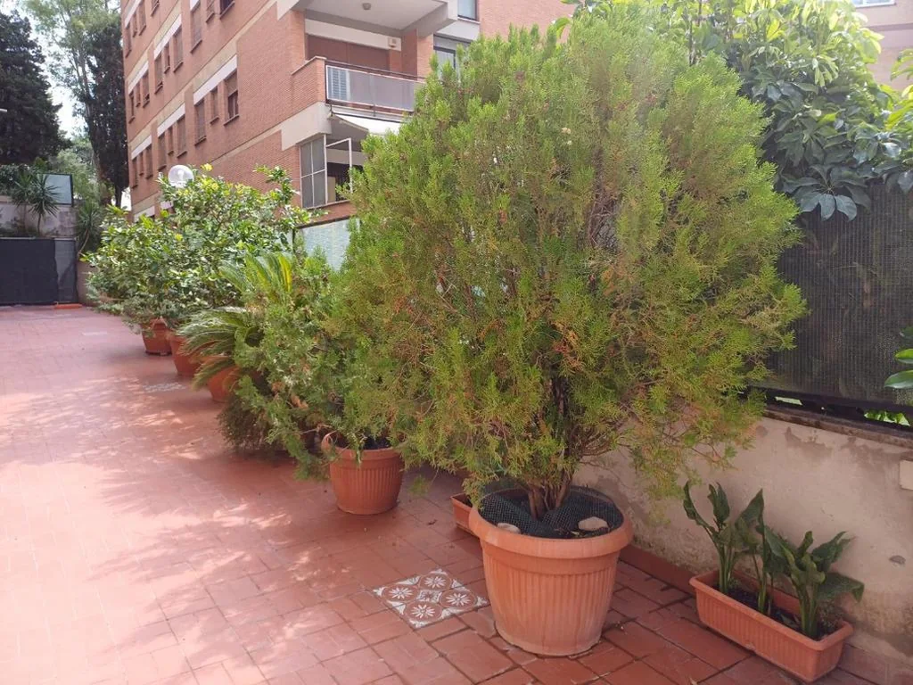 Lux Urbis Pio VIII — foto 7