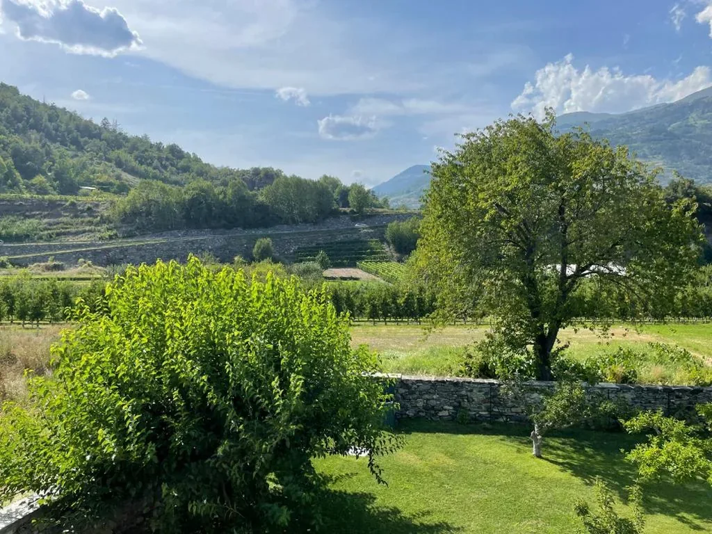 Maison Bérard — foto 6