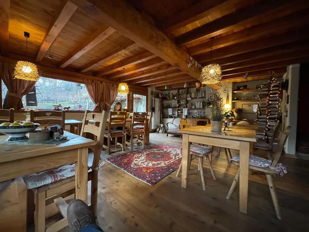 Maison de Noé — foto 4