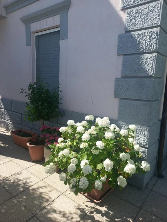 La Casa di Piccolì di Gabriele Martelli e Catia Pacetti – Camera Coccinella — foto 7