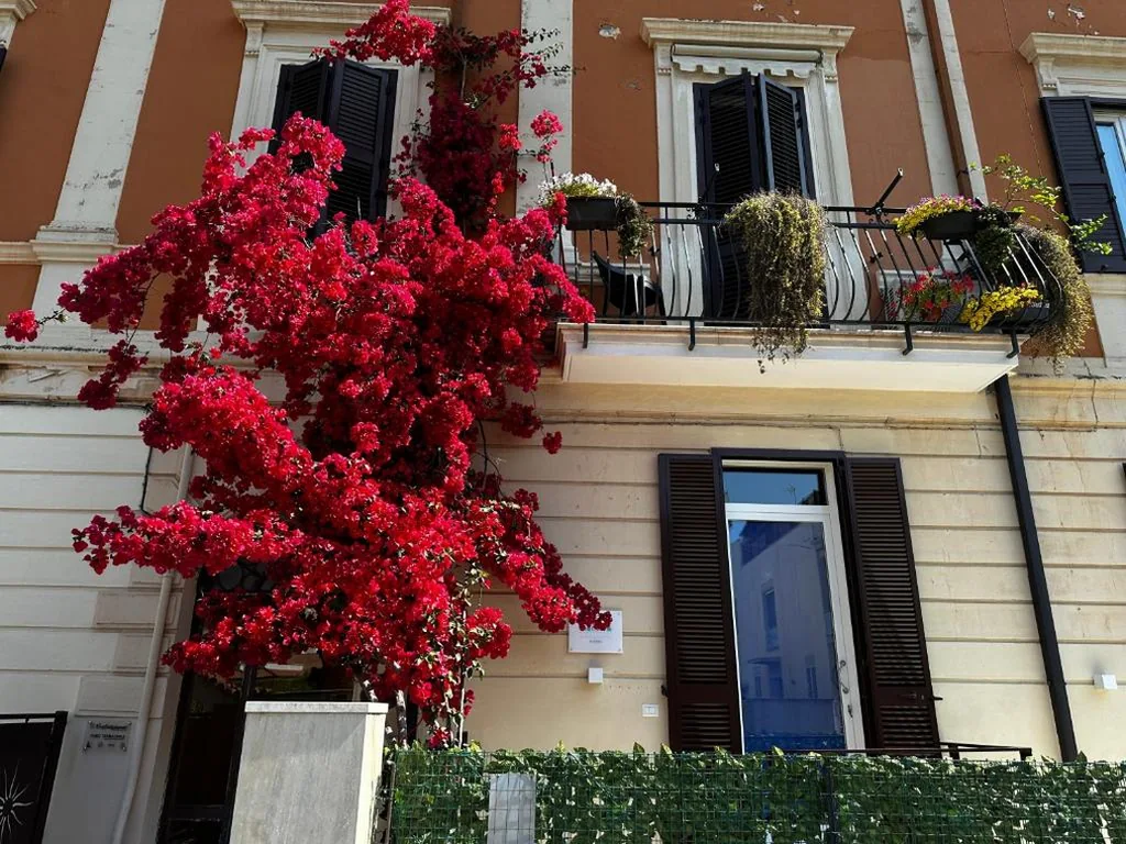 Mariviva Guest House — foto 5