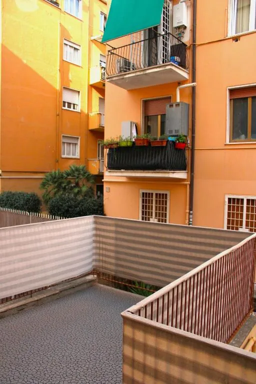 Mikasa Balduina Roma — foto 6