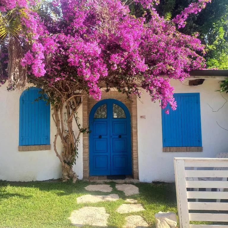 Monolocale — Baia D’Oro