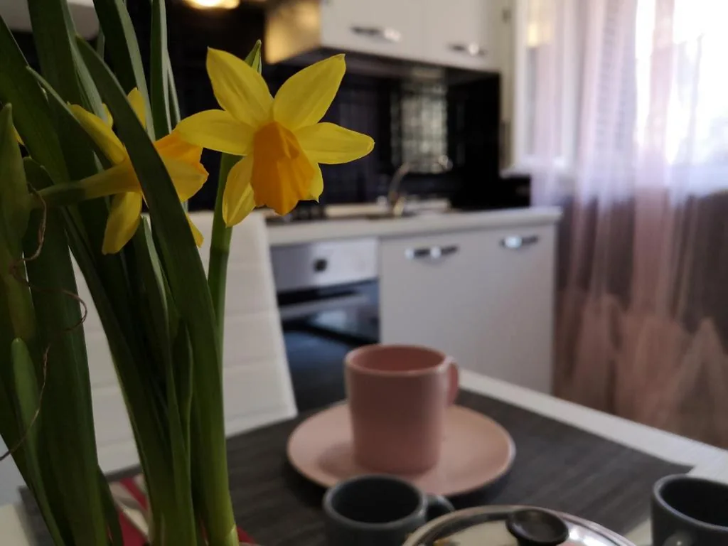 Monolocale — La CasAffittiera Apartments Group
