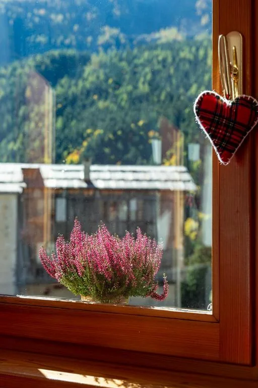 Monolocale Standard — Residence Monterosa