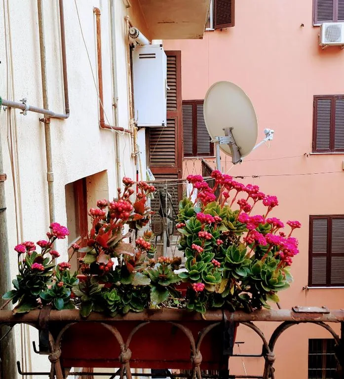 Napoleone Luxury Home roma — foto 4