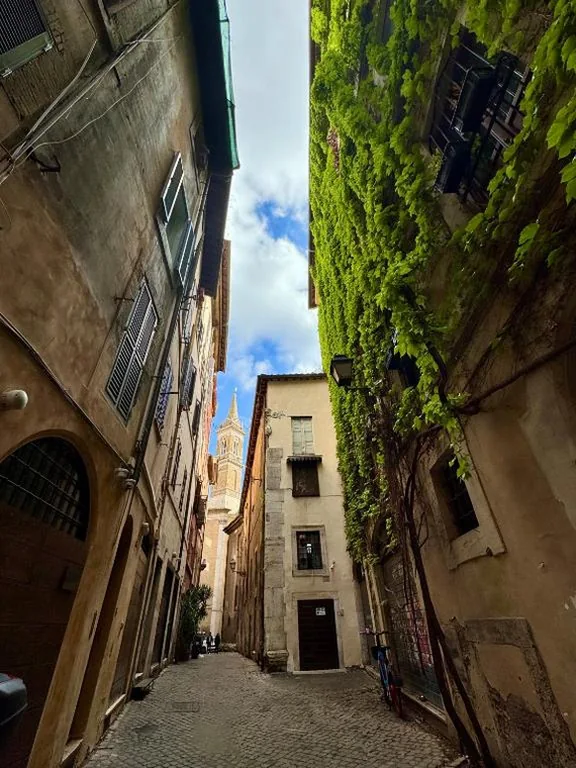 Navona Fox House 1 — foto 5