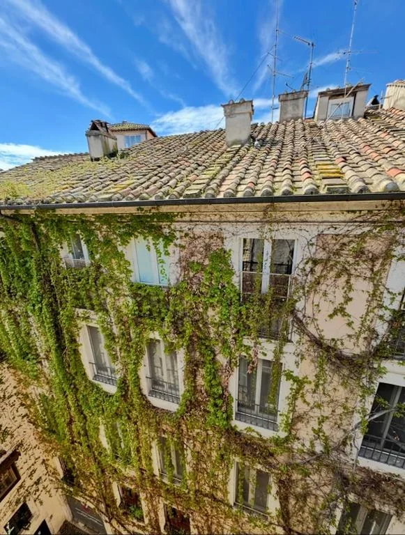 Navona Fox House 1 — foto 7