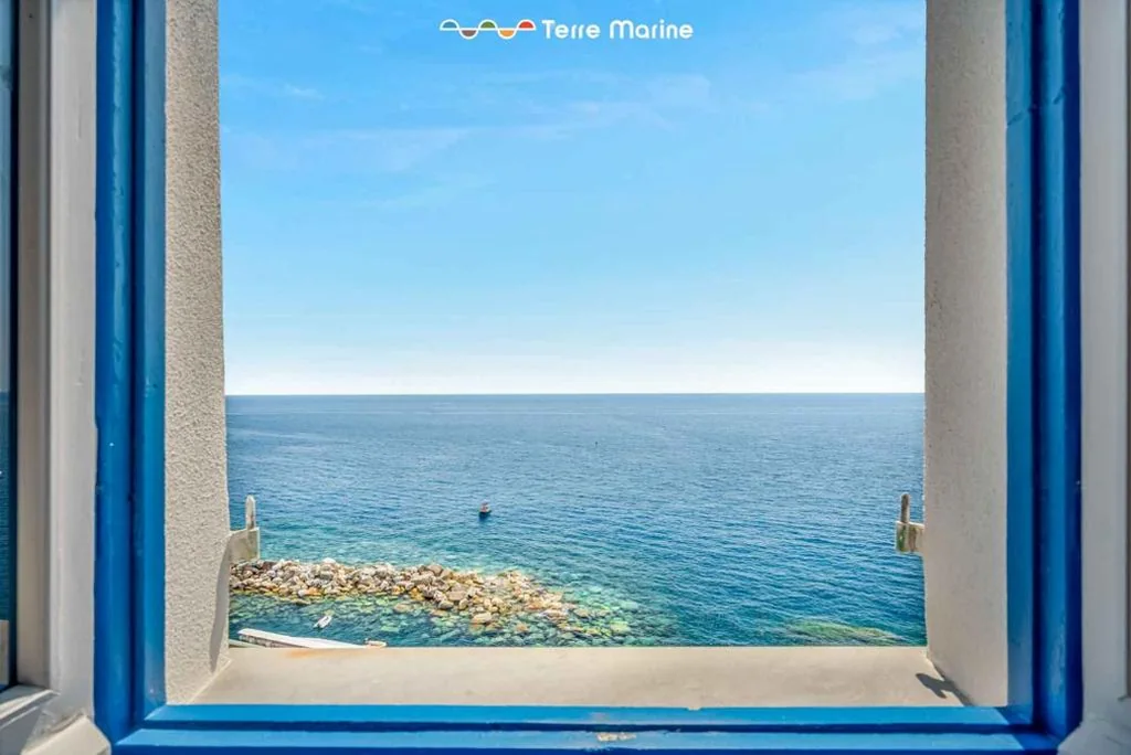 Nidoo TerreMarine
