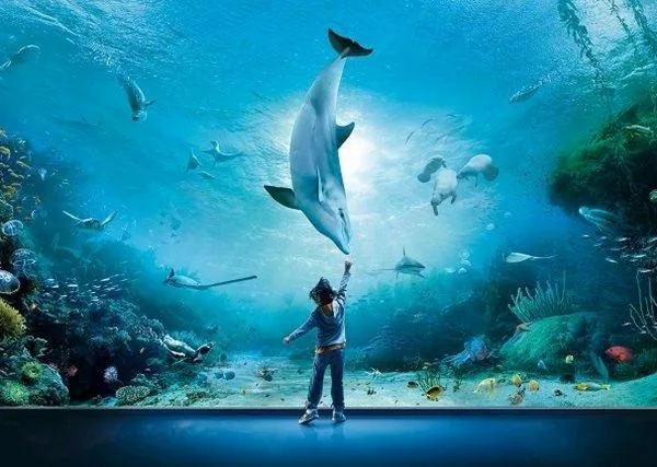 Oceania — foto 4