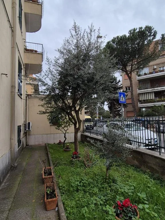 Olive tree’s house — foto 6